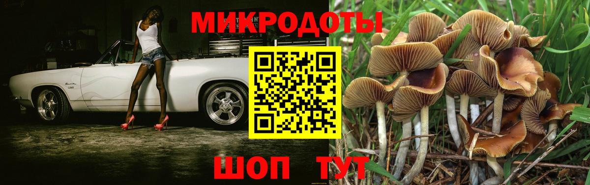 Галлюциногенные грибы Magic Shrooms Элиста